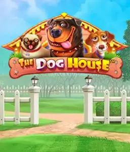 Experience Pragmatic Play's The Dog House, bringing you an adorable experience through playful pups. Engage in features such as multipliers, designed for providing entertaining gameplay. A must-try for pet lovers a cheerful setting alongside lucrative rewards.