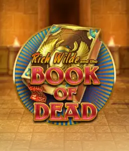 Embark on the thrilling world of Book of Dead by Play'n GO, featuring vivid graphics of Rich Wilde’s adventurous journey through ancient Egyptian tombs and artifacts. Discover lost riches with exciting mechanics like free spins, expanding icons, and a gamble option. Ideal for those seeking adventure with a desire for exciting finds.